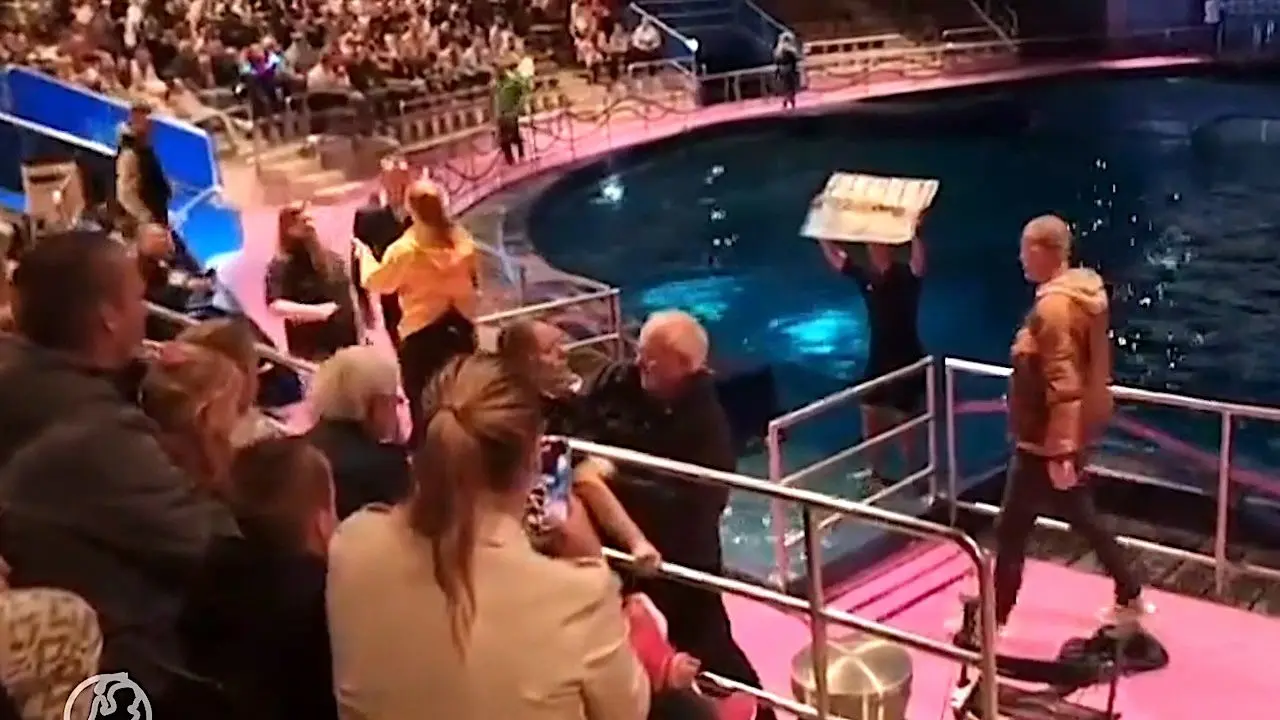 Dierenactivisten bestormen Dolfinarium Harderwijk: schokkende beelden uit het water