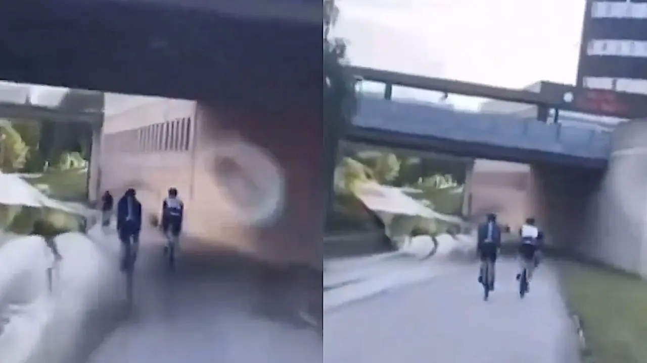 Automobilist neemt keihard wraak op wielrenner, video gaat viraal