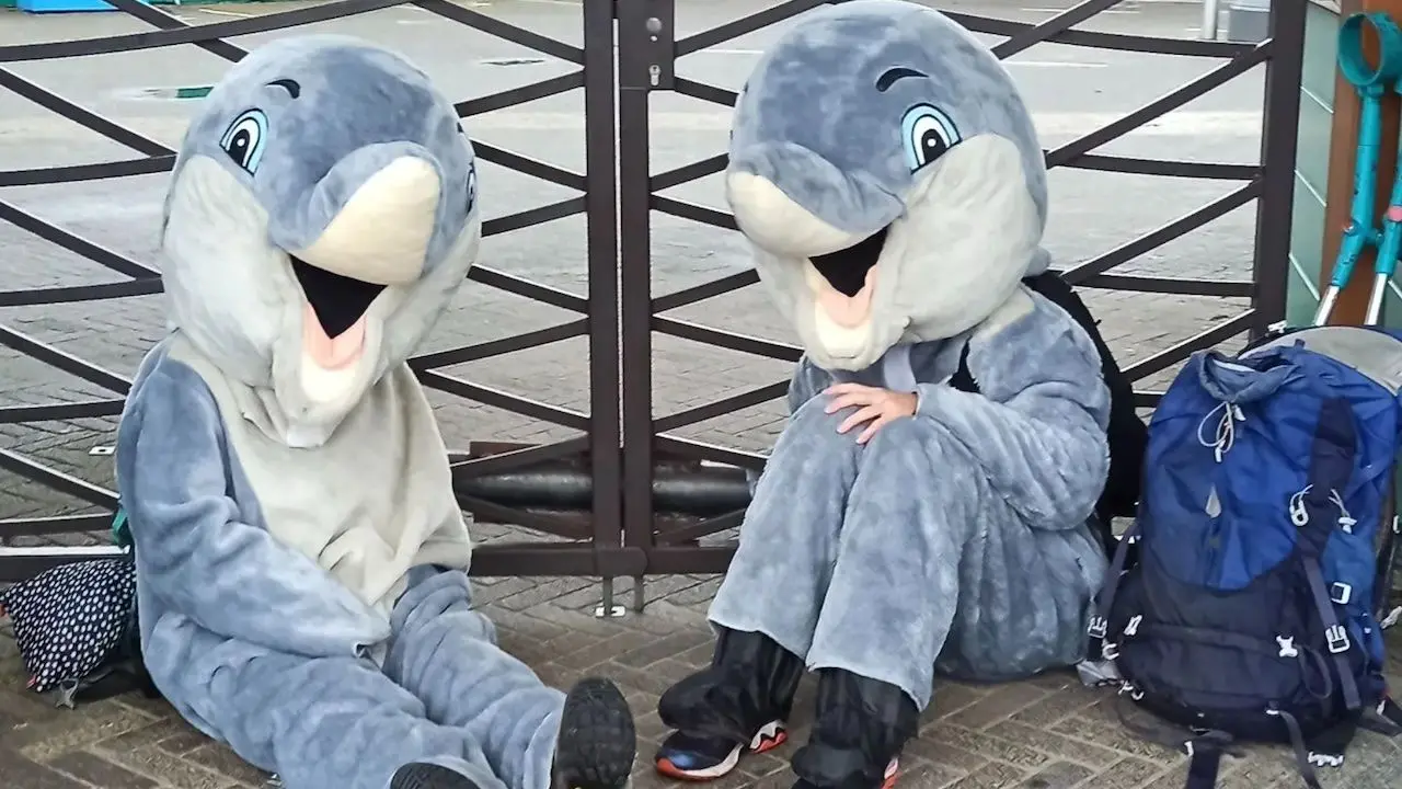 Dierenleed in Dolfinarium: toegang voor bezoekers geblokkeerd