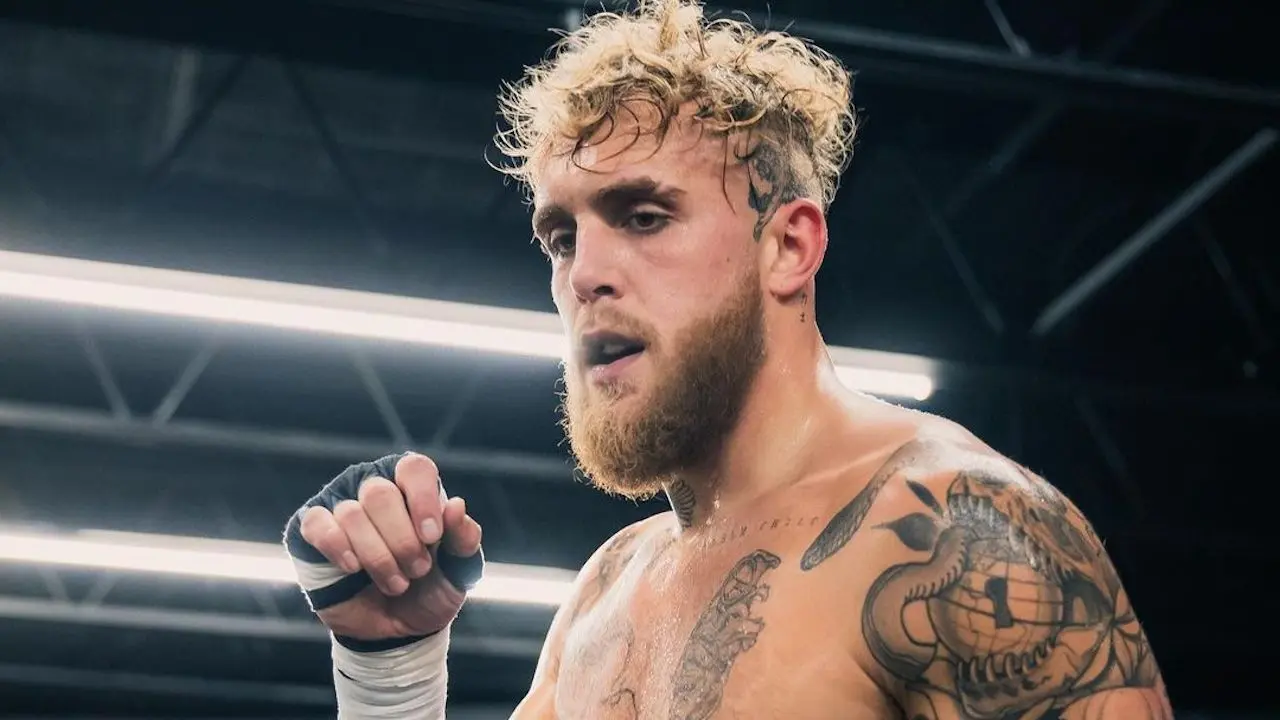 jake paul sparringspartner video