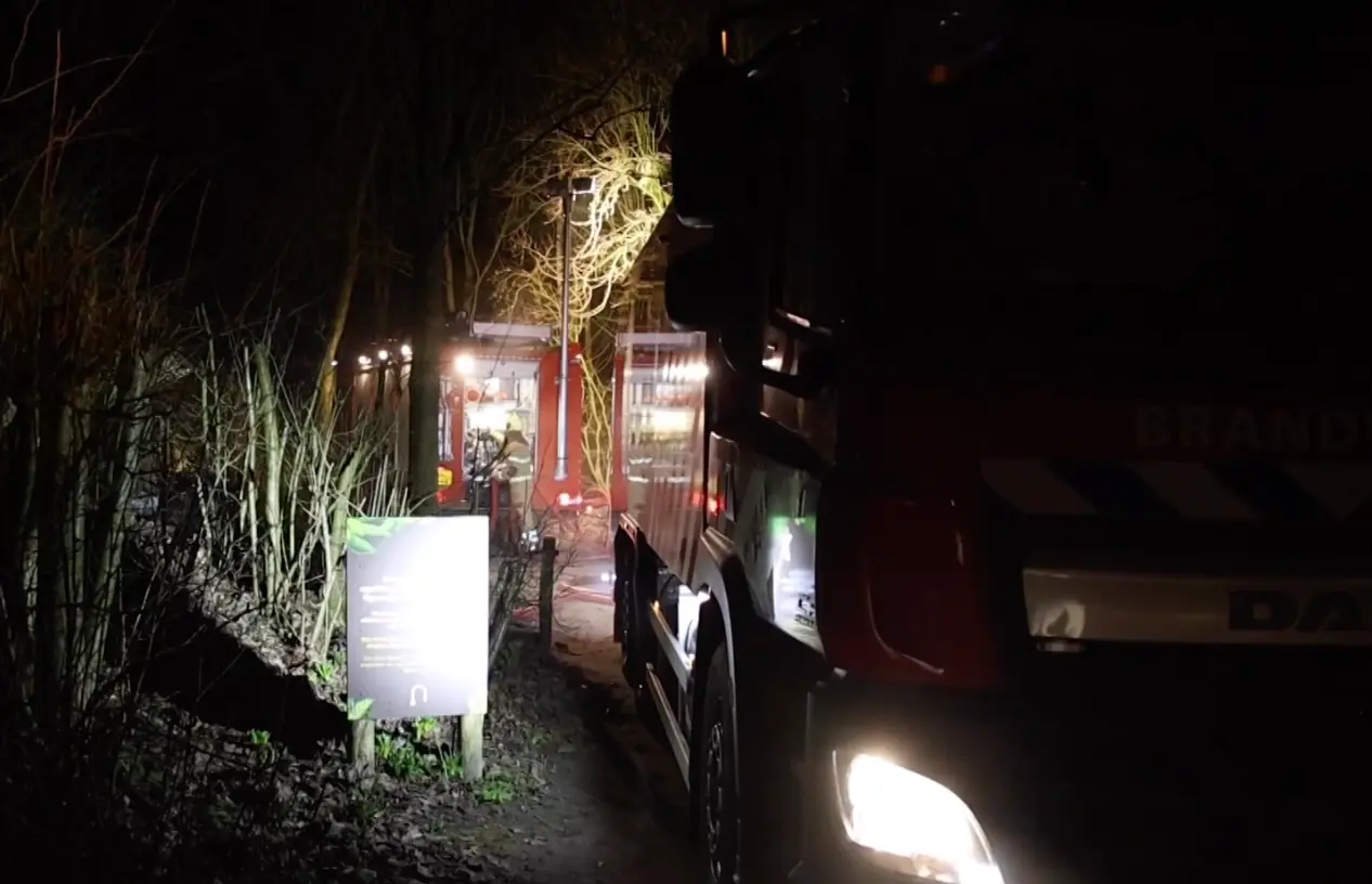 Groep dieren overleden na brand in Nederlandse dierentuin