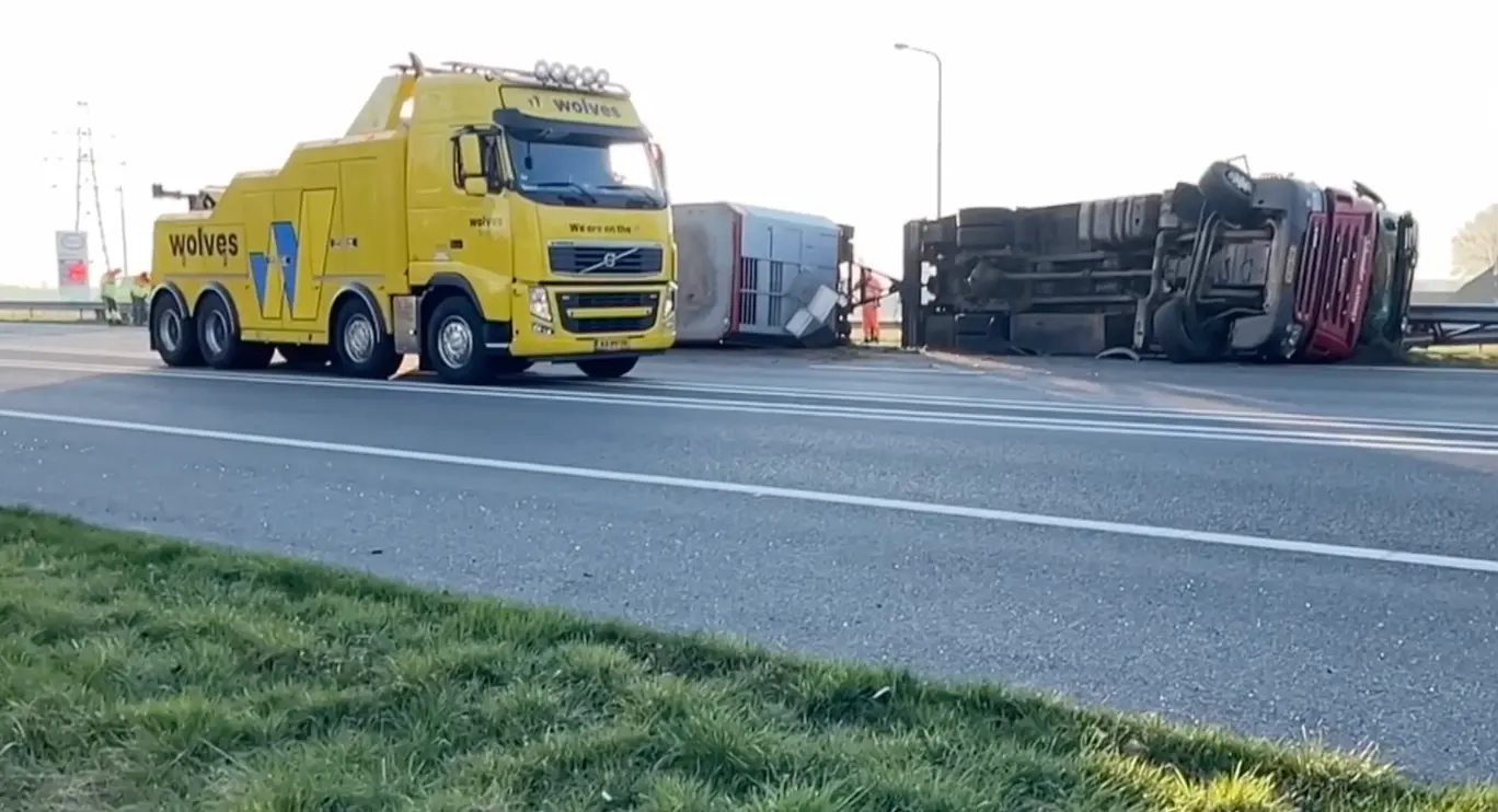 A18: Meerdere koeien dood na ernstig ongeluk op snelweg