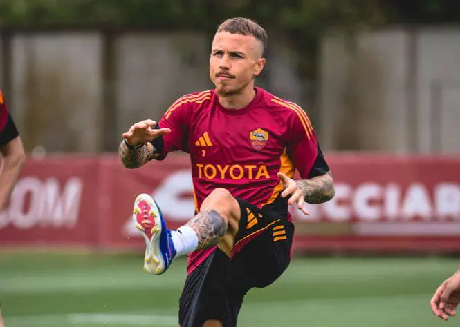 trigoria angelino