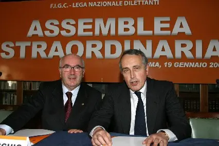 abete tavecchio