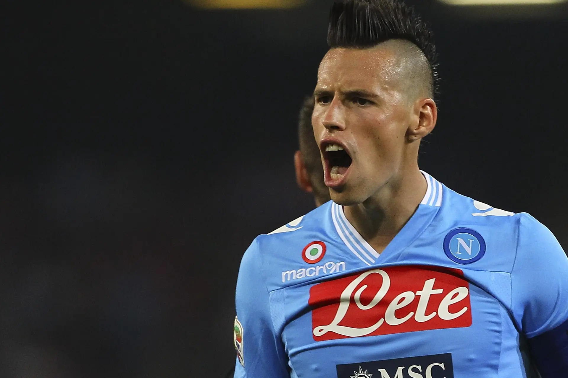 hamsik