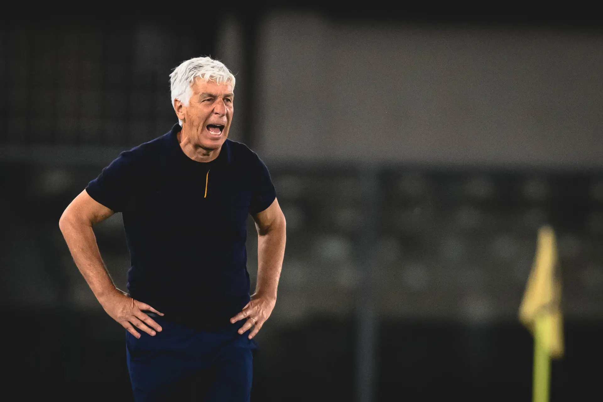 hellas verona roma gasperini