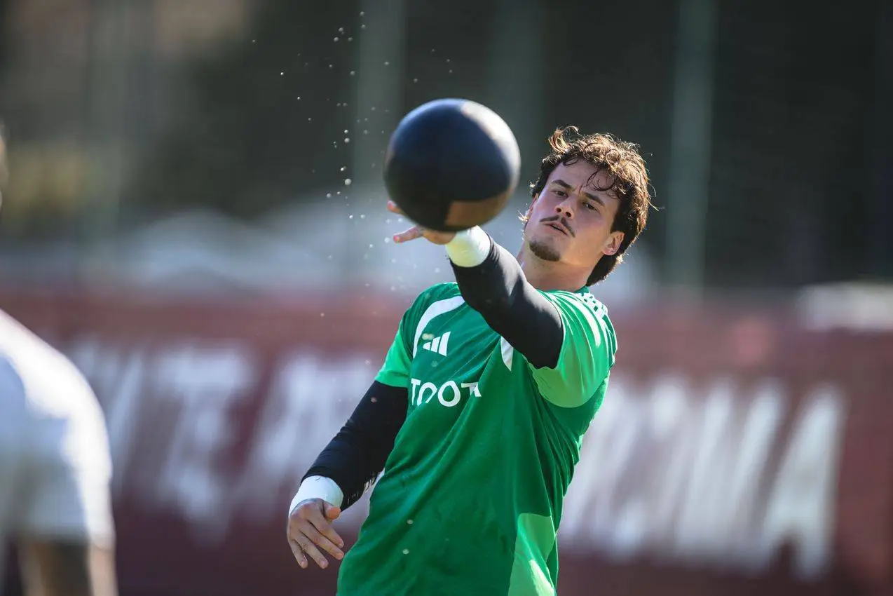 svilar 2