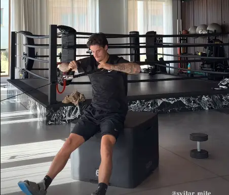 svilar ig