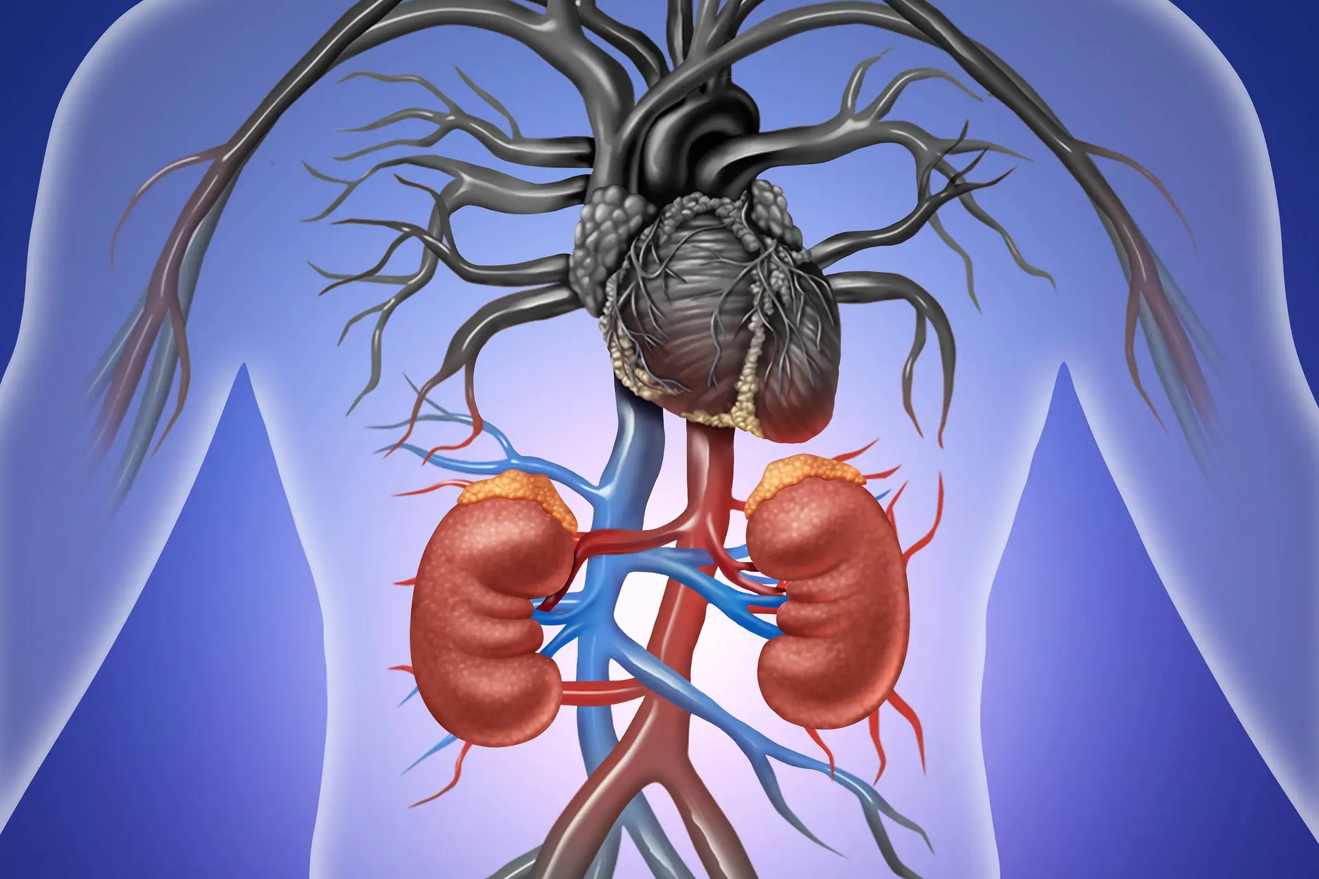 New CKM Syndrome Guideline Reframes Risk