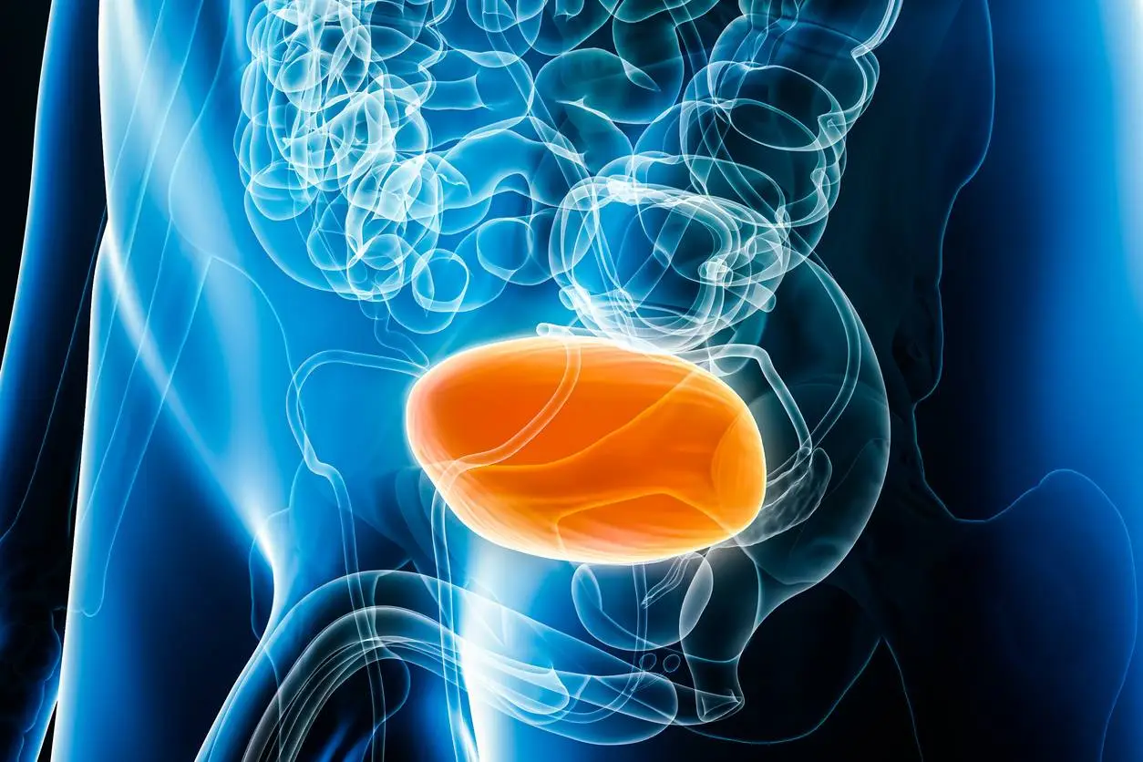 Durvalumab + BCG approved for some NMIBC patients