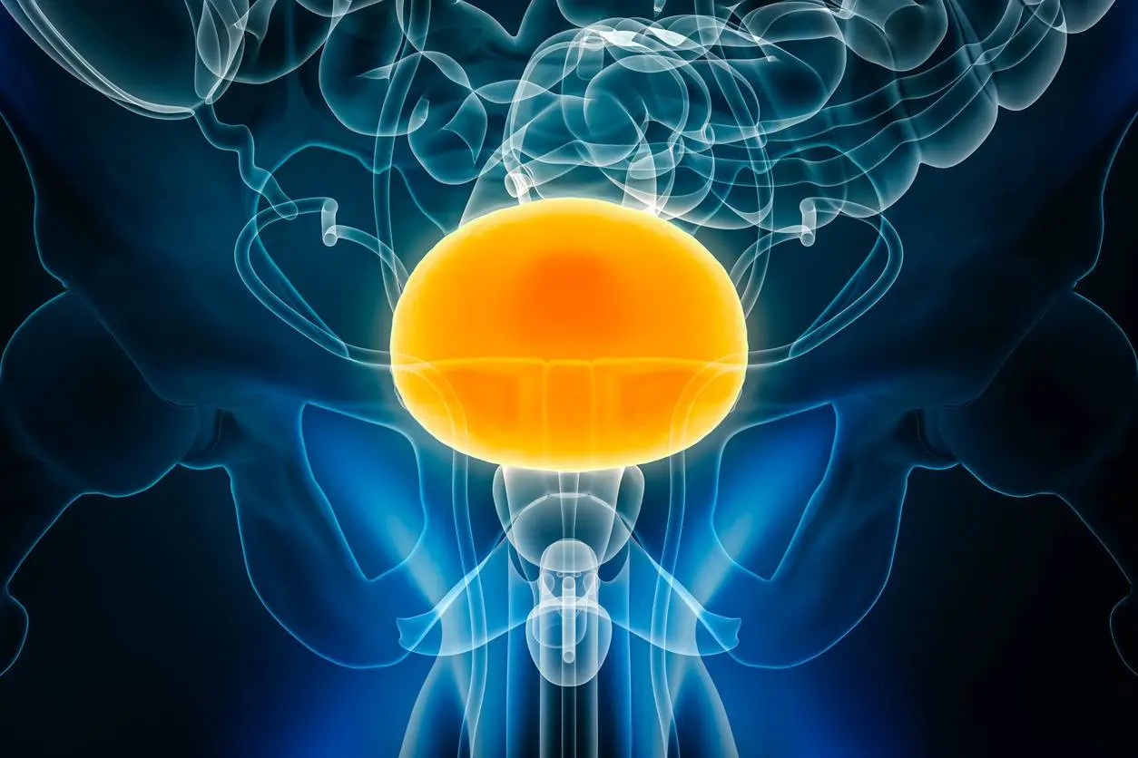 Expanded Perioperative Use for Pembrolizumab in Bladder Cancer