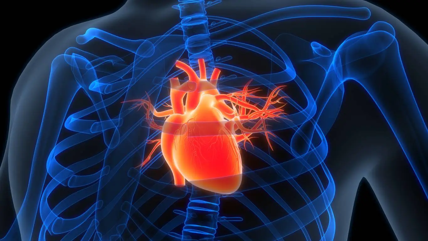 Polypill Strategy Improves Cardiac Function in HFrEF Trial