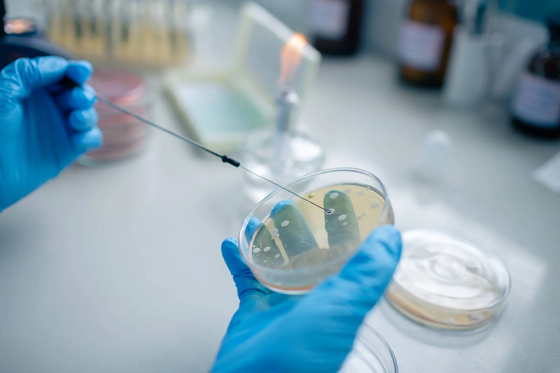 Pseudomonas Remains Highly Susceptible to Newer Combinations