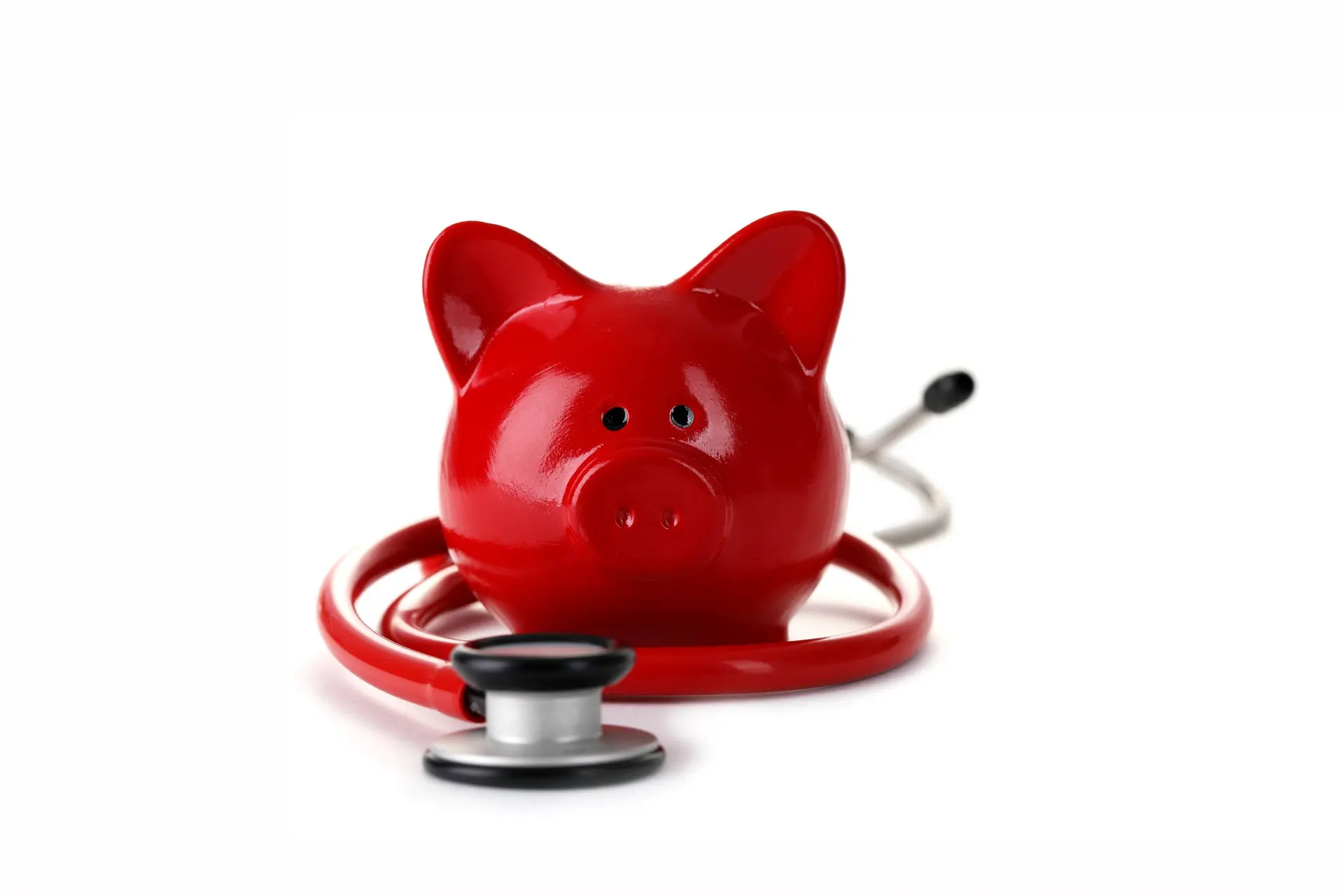 Porcine Kidney Bridges Patient to Human Transplant