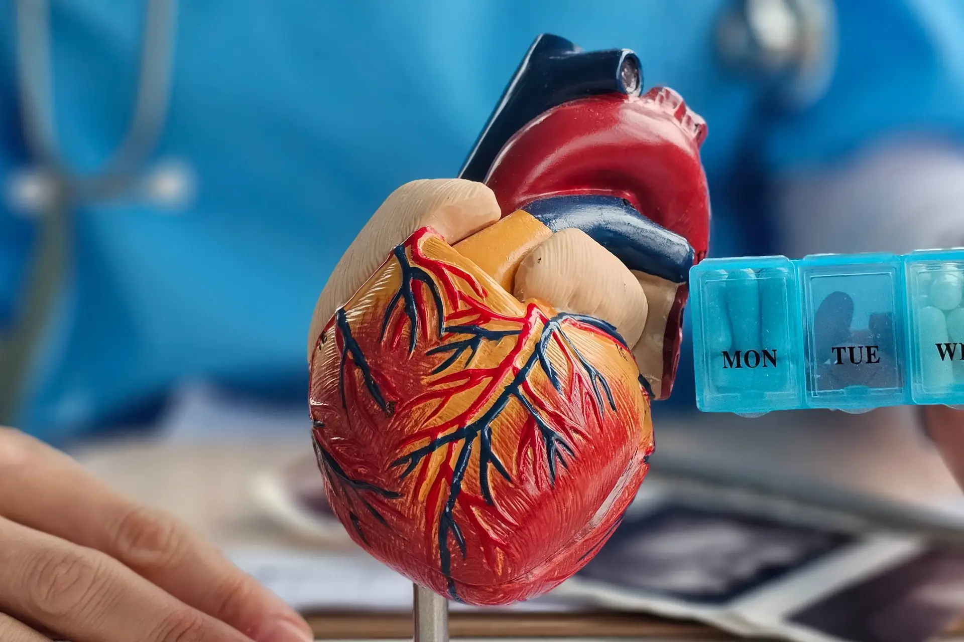 Target GDMT Doses Tied to Lower Loop Diuretic Needs in Heart Failure