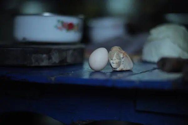 egg and stone film still 1