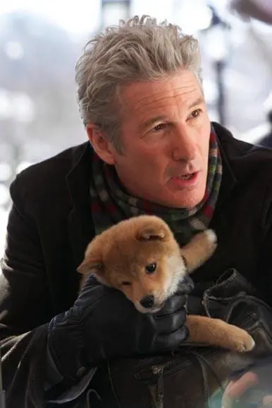 hachi 2