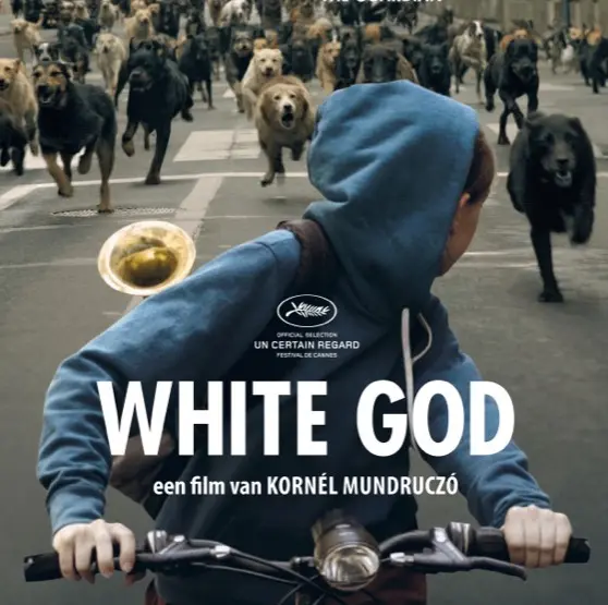 white god 26006405 ps 1 s low