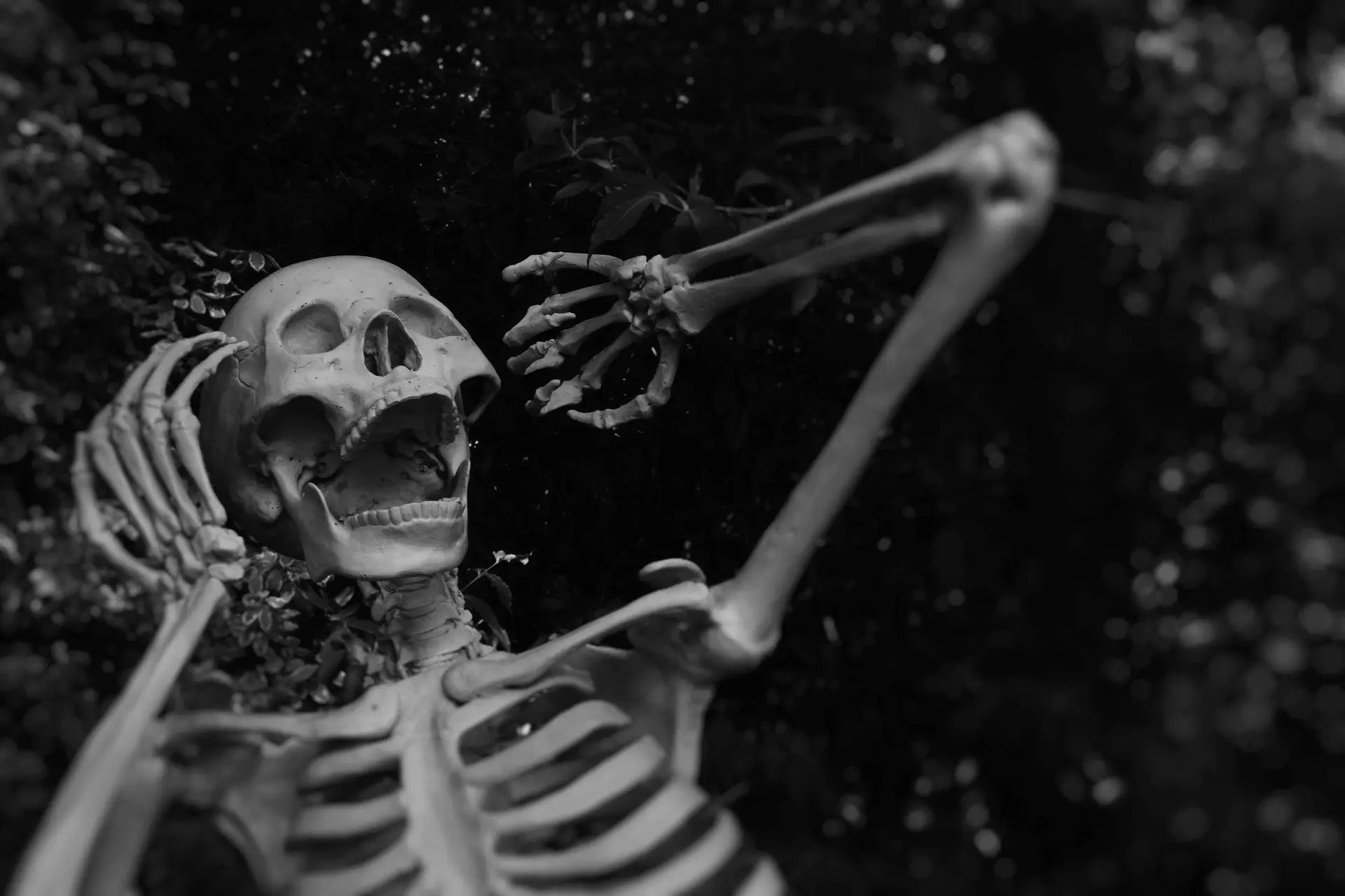 Dit zijn de beste films om te kijken met Halloween