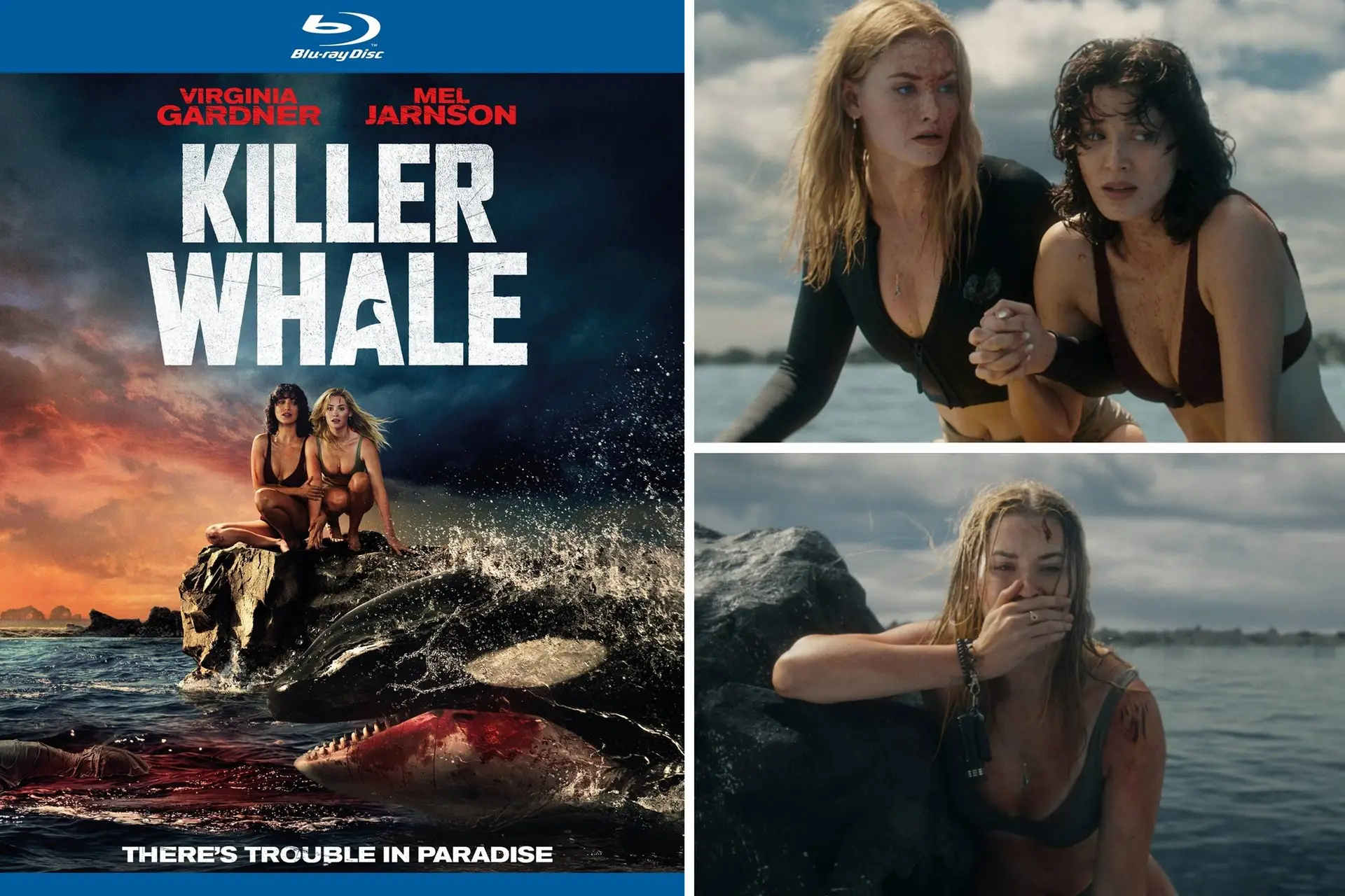 Week 42 - Killer Whale