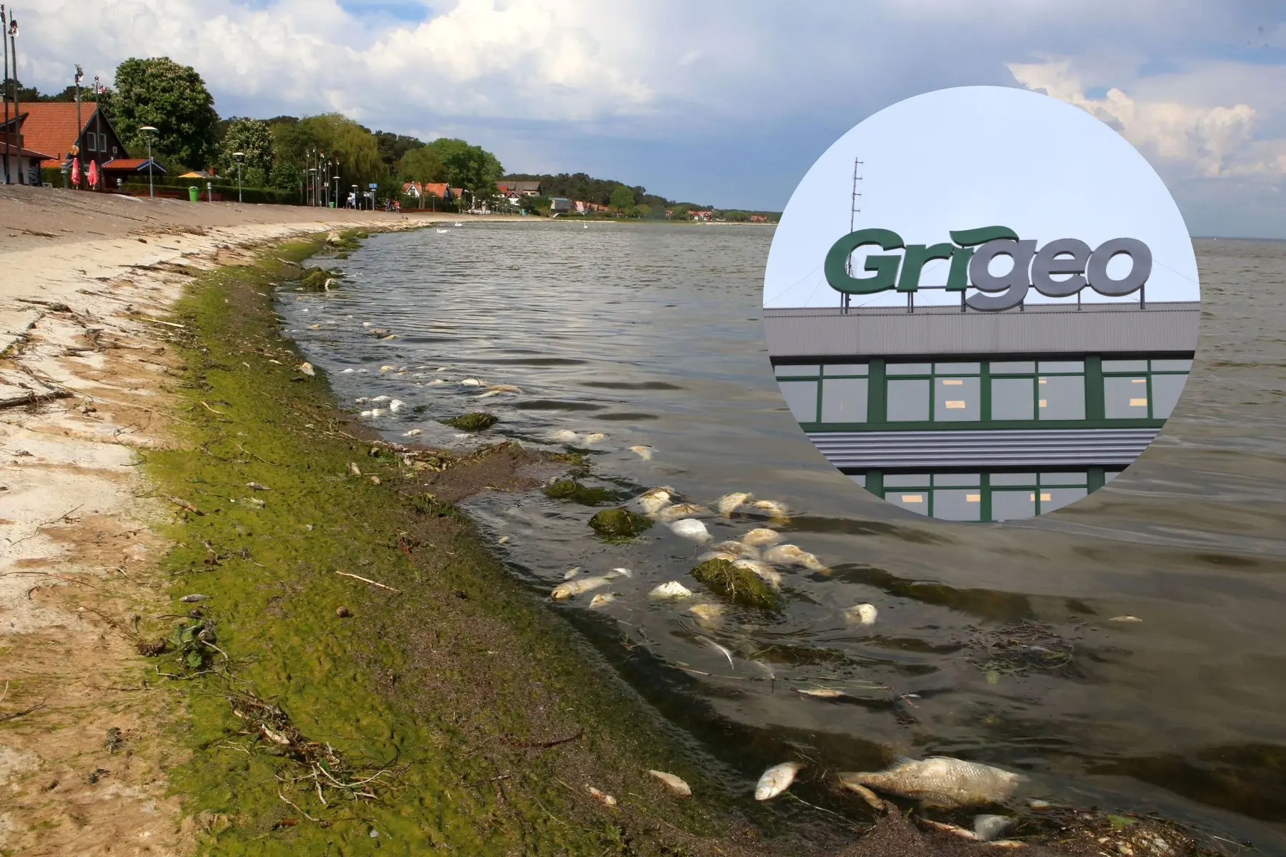 „Grigeo Klaipėda“ išleistų nuotekų užterštumas aplinkosaugines normas viršijo 166 kartus