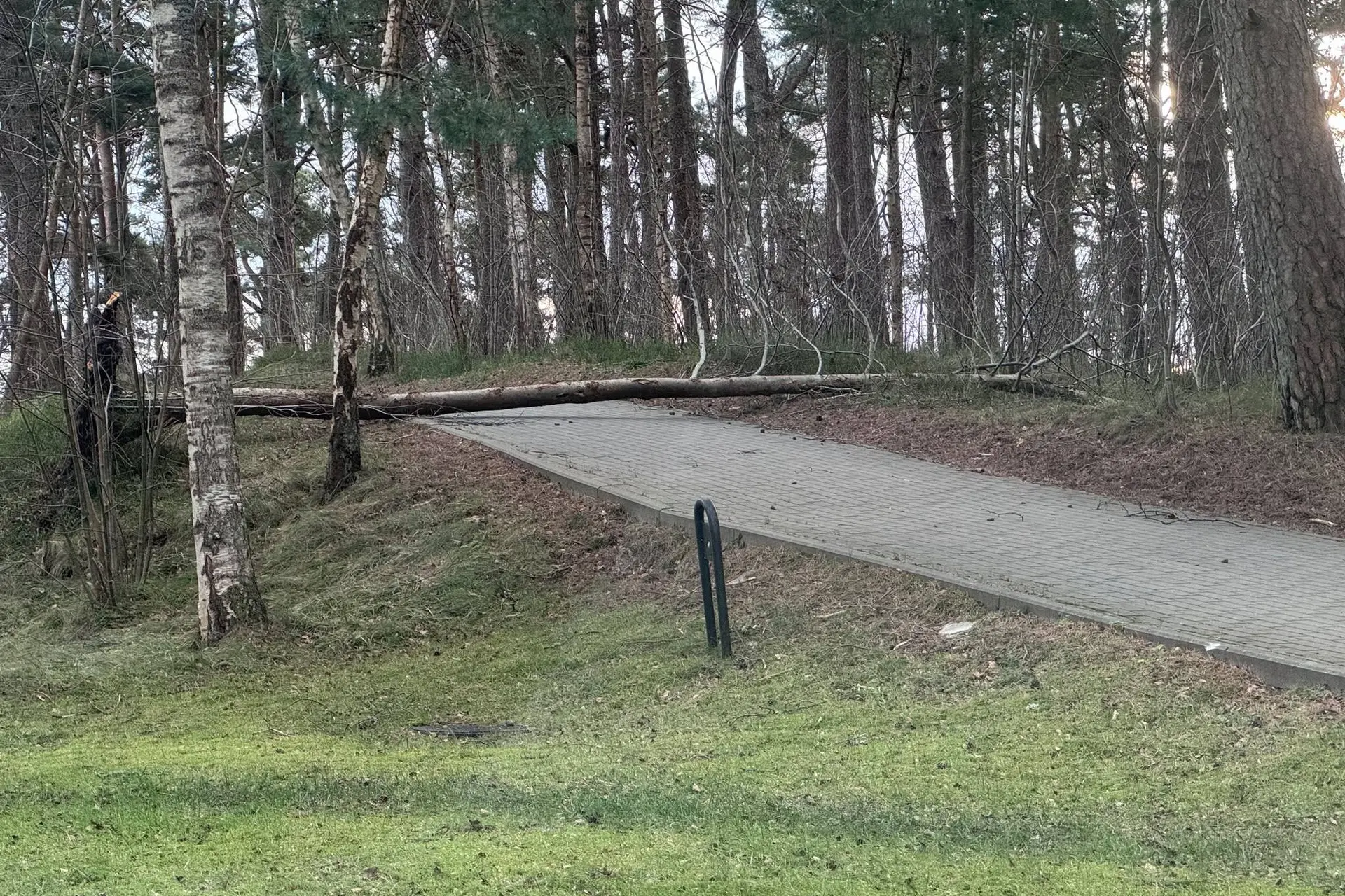 Vėtra stipriausiai smogė pajūriui: Klaipėdos uoste – 30 m/s gūsiai