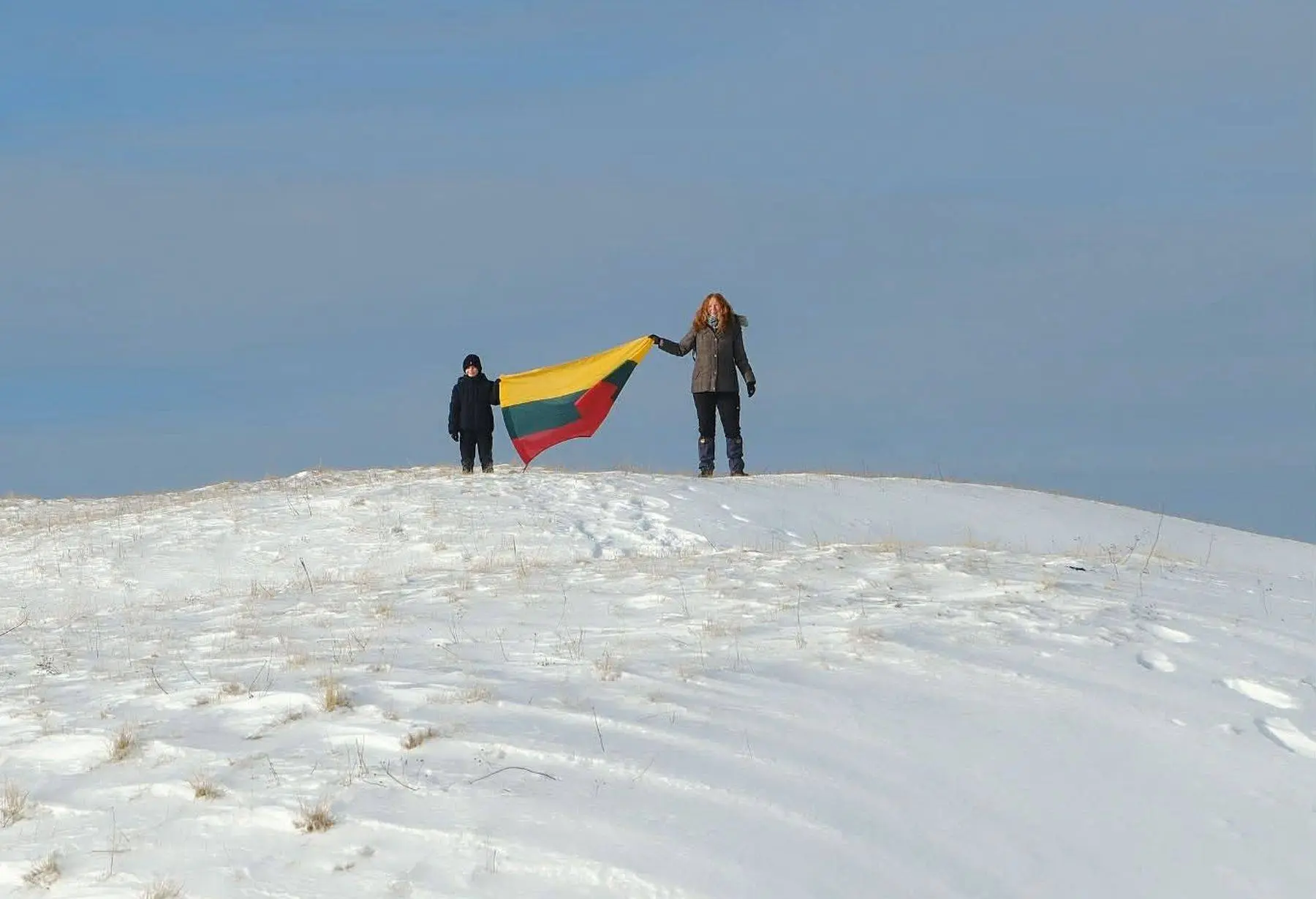 Lietuvos vėliava