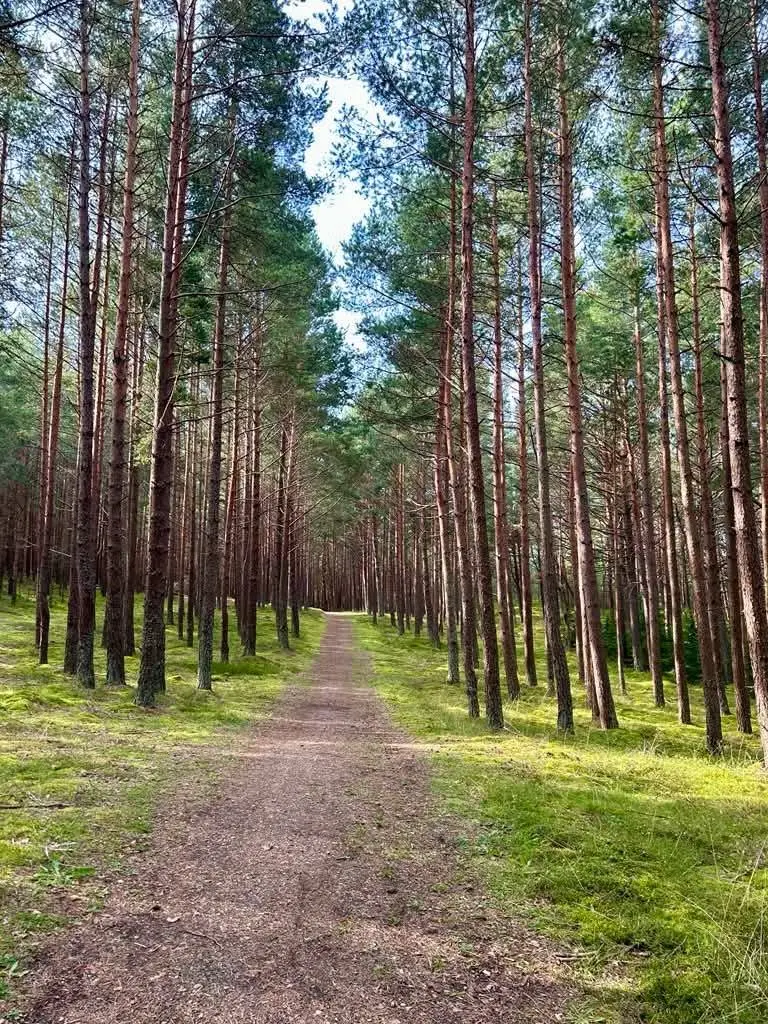 Raganų kalnas