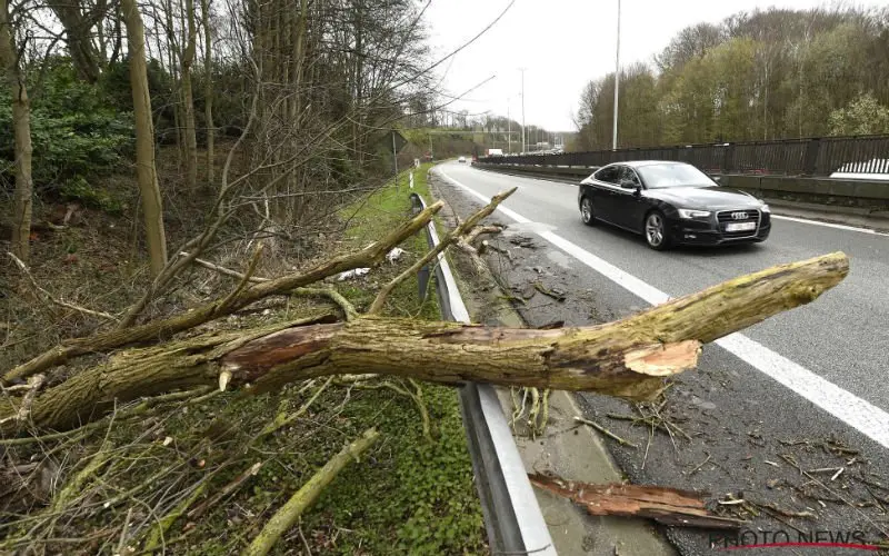 Stormschade? Let op: deze veelgemaakte fouten kunnen je terugbetaling kosten