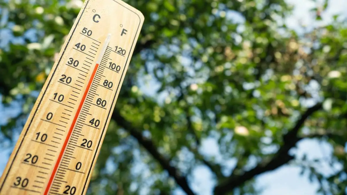 KMI grijpt in: code rood voor twee provincies, temperatuur kan oplopen tot 40 graden