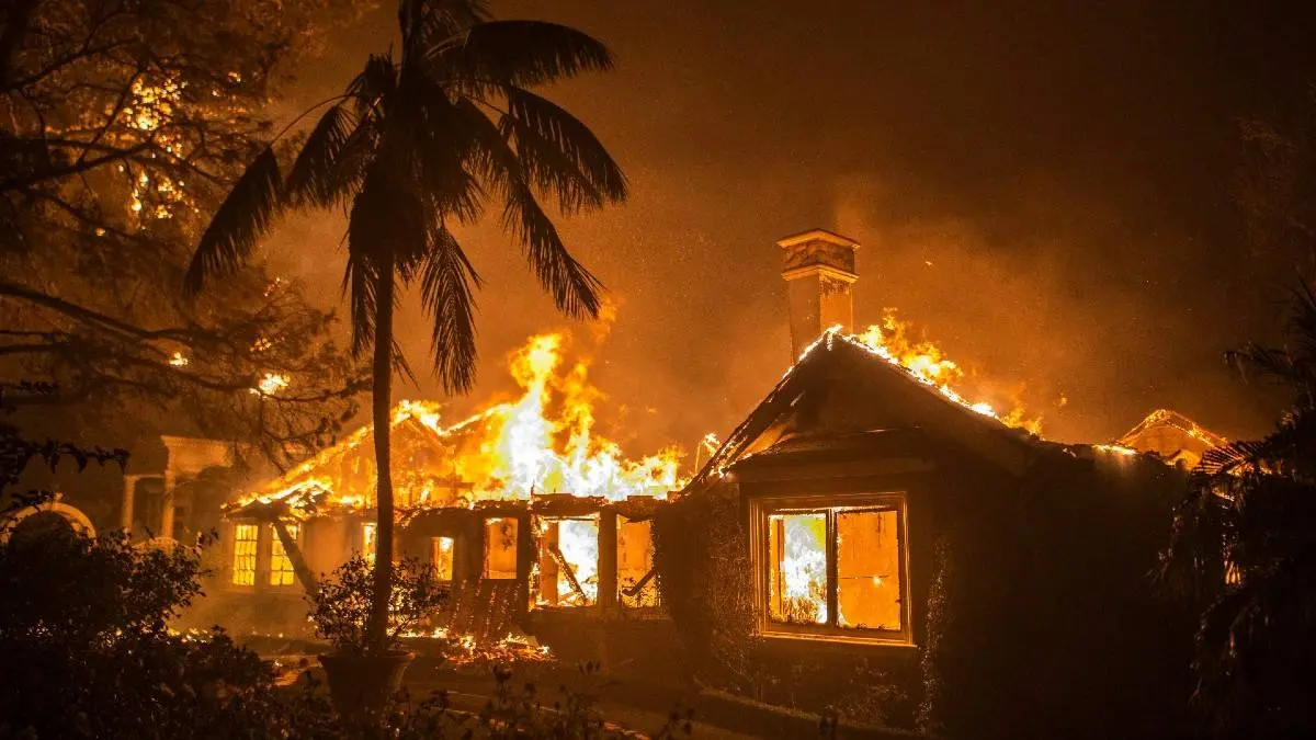 Na de tragedie in Spanje: Wat doe je als een bosbrand op je afkomt? De fouten die levens kosten