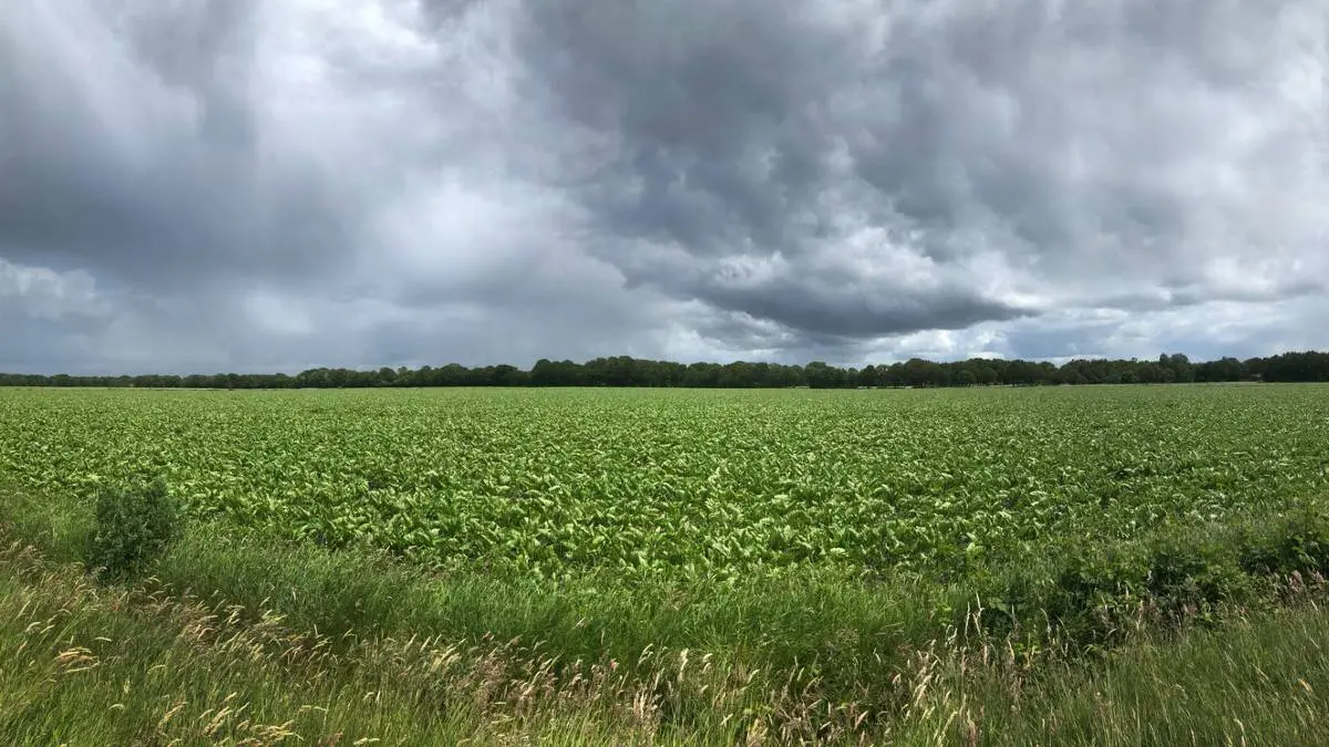 30-daagse vooruit: Het wordt echt koud, amper 15 graden