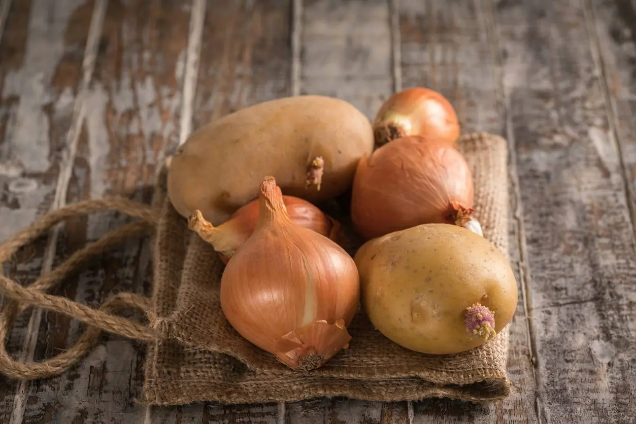 Waarom je beter geen aardappelen bewaart naast uien