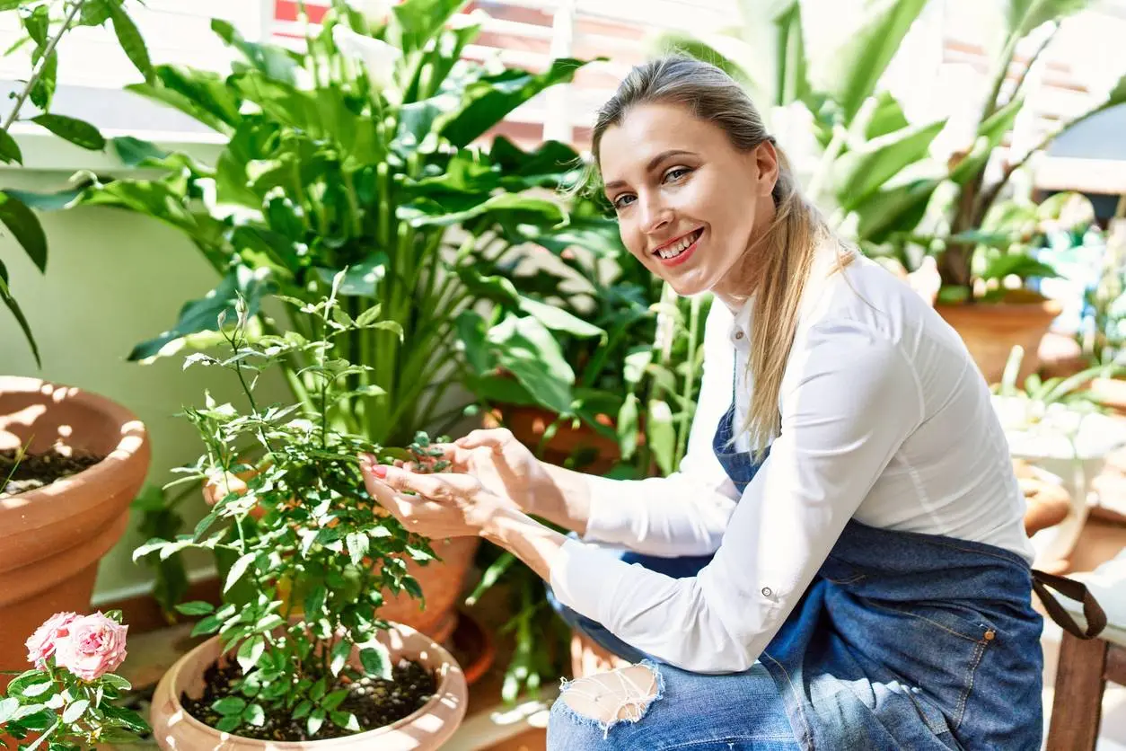 Waarom herfst de beste periode is om nieuwe planten te zetten