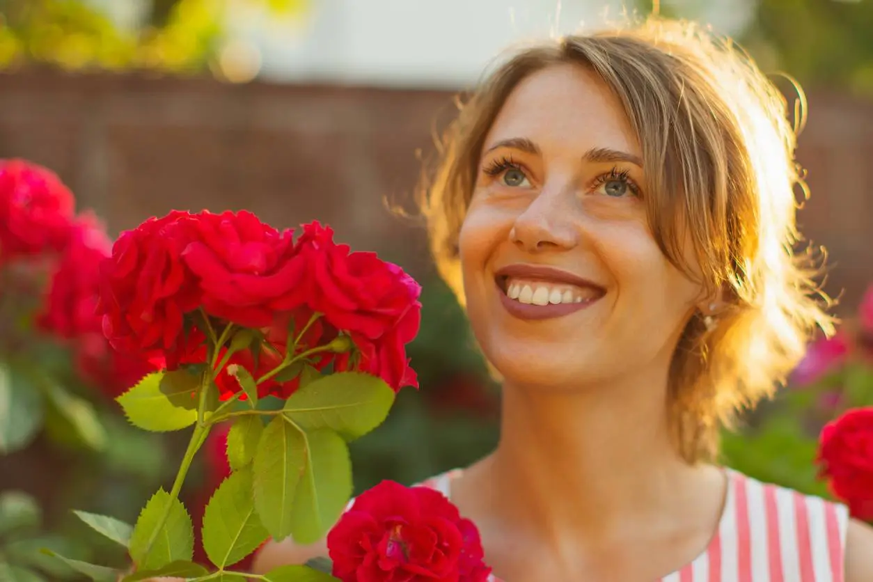 Bananenschil bij het afval? Niet doen – je rozen zullen je dankbaar zijn