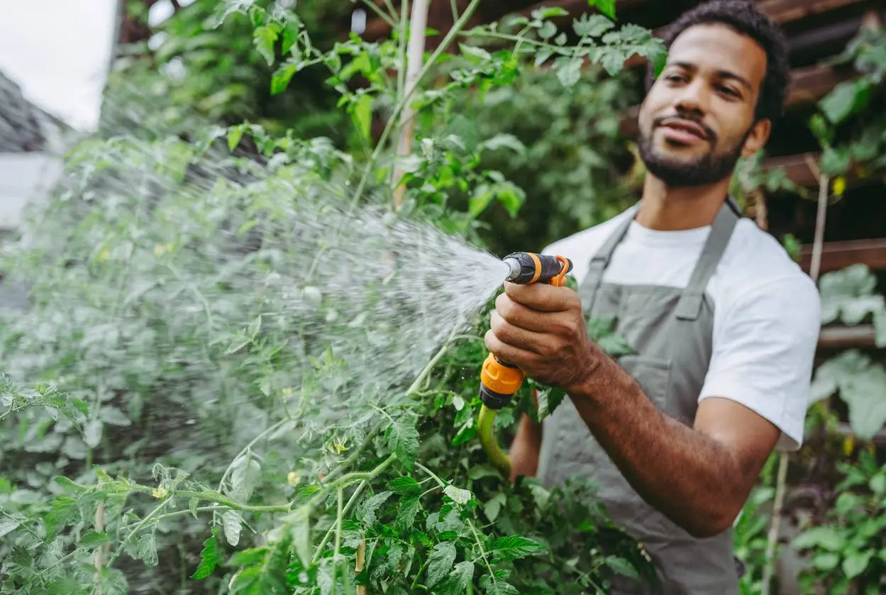 Daarom kies je beter voor vaste planten in plaats van seizoensbloemen