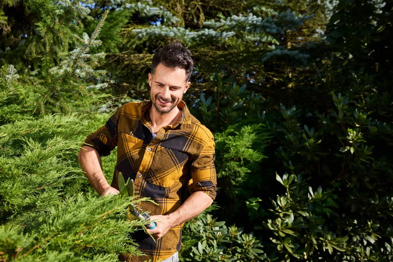 10 slimme tips om je tuin op de juiste manier te snoeien