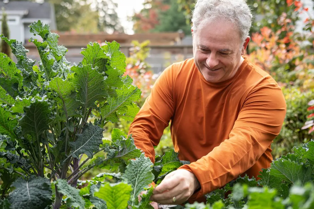 10 klusjes in de tuin die je nu doet om volgend jaar geld te besparen