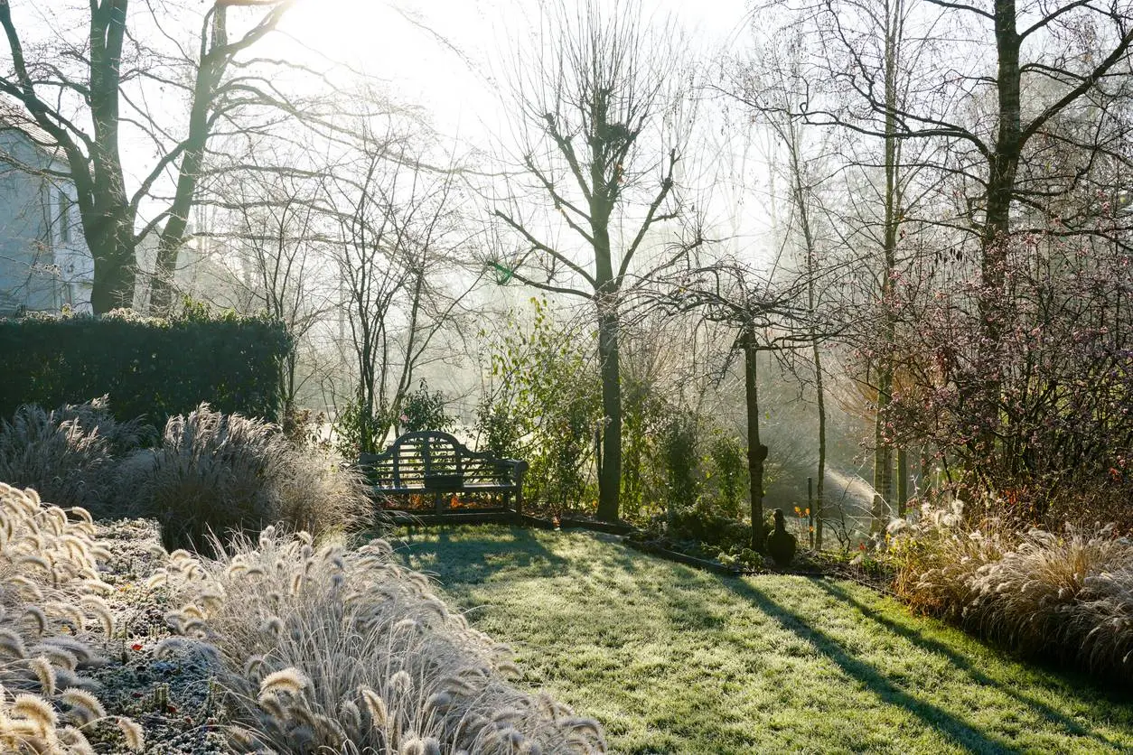 Zo ziet de winter er over tien jaar uit in Vlaanderen en Nederland: Zes maanden herfst