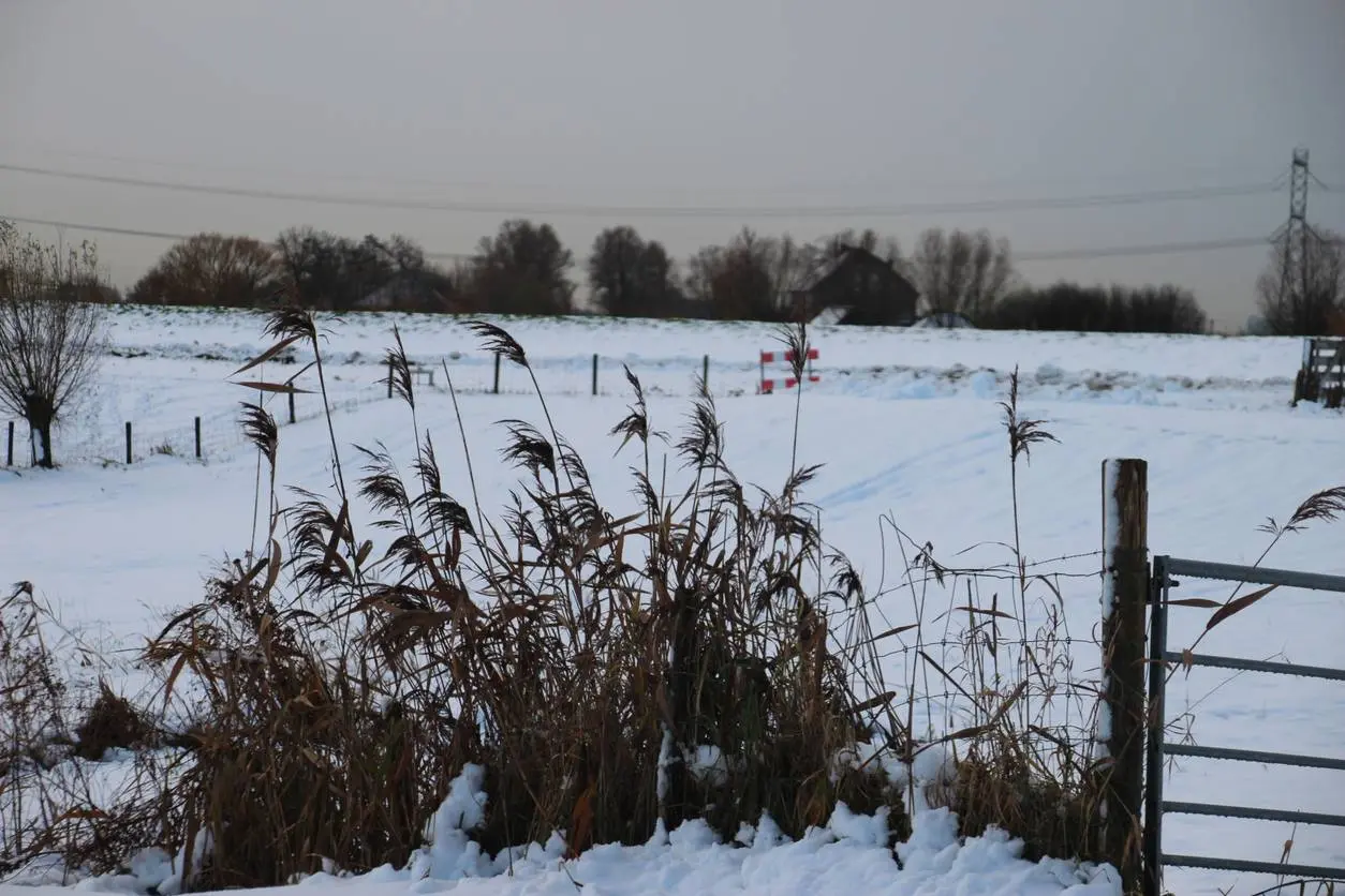 Eindelijk witte kerst? Dit weer krijgen we tijdens de feestdagen