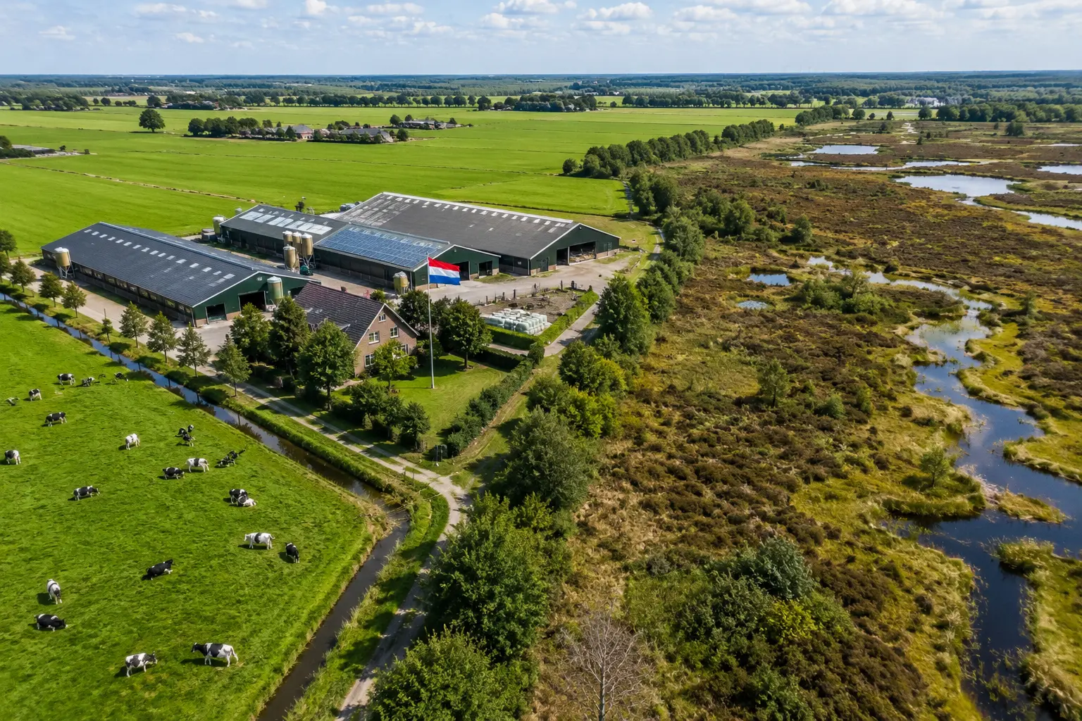 Nederland schrapt omstreden stikstofaanpak: komt België nu onder druk te staan?
