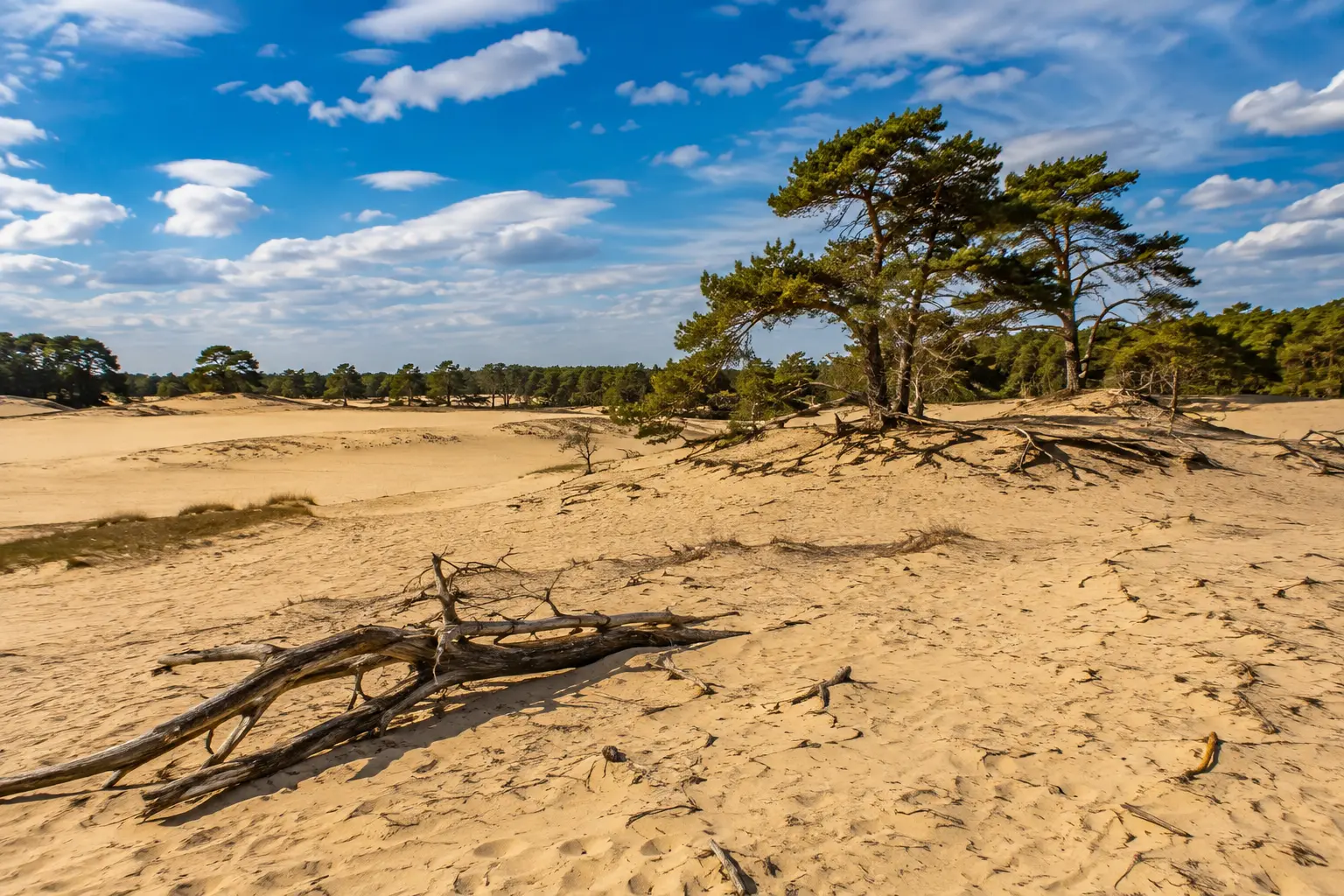 Nederland
