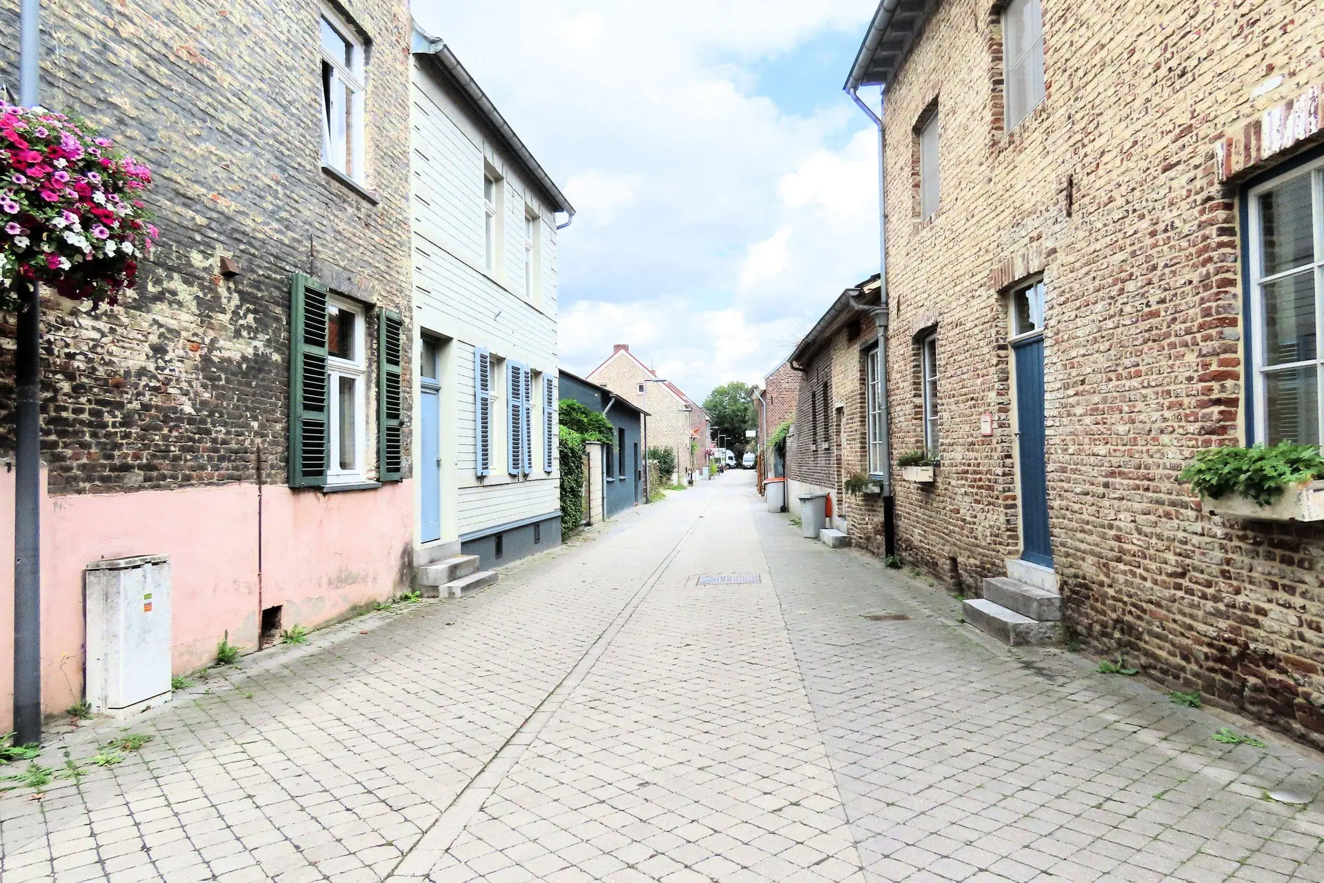 San Lavie