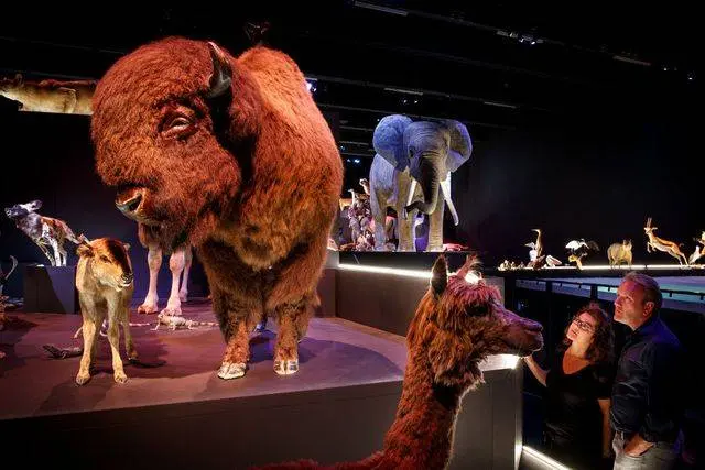 naturalis-zaal-leven