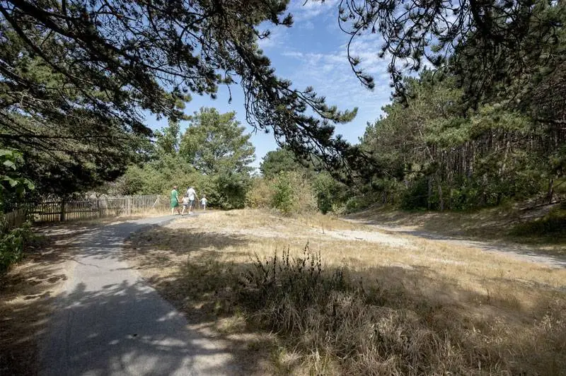 duinbossenwandelroute-de-haan