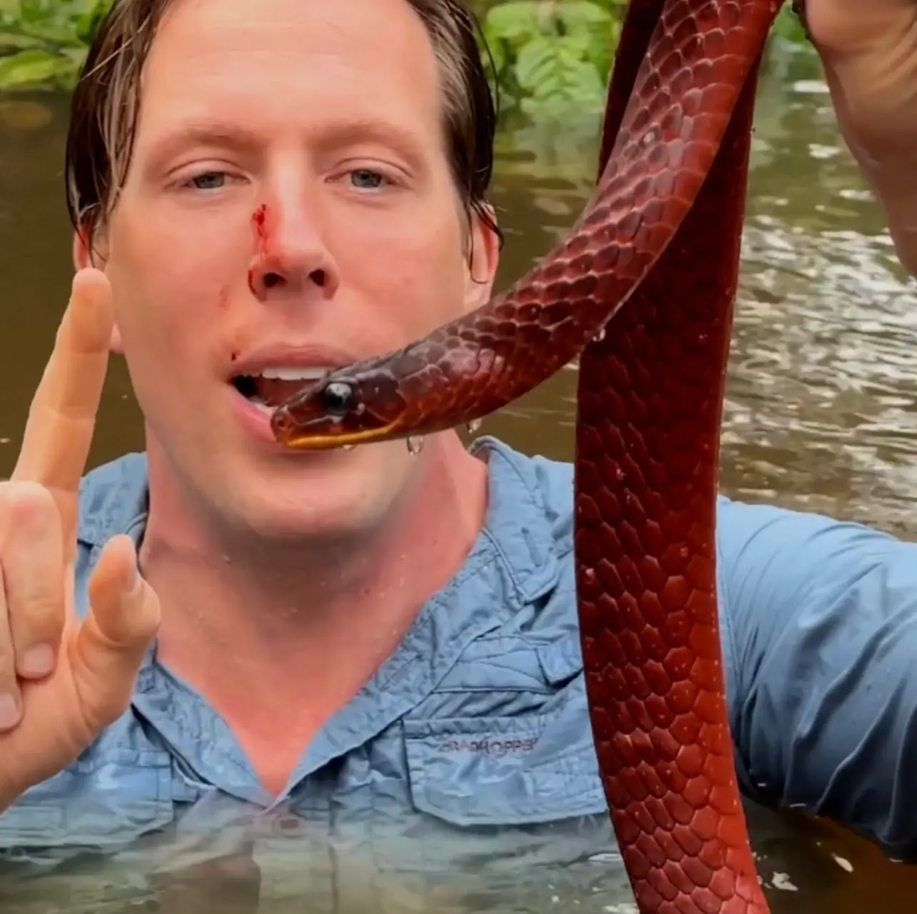 Freek vonk gebeten door slang in gezicht (video)