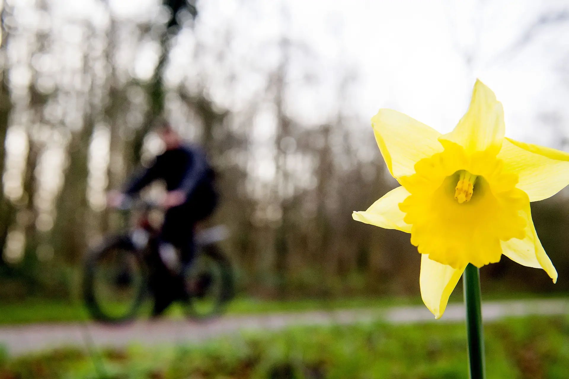 Dit jaar is de warmste februari ooit gemeten