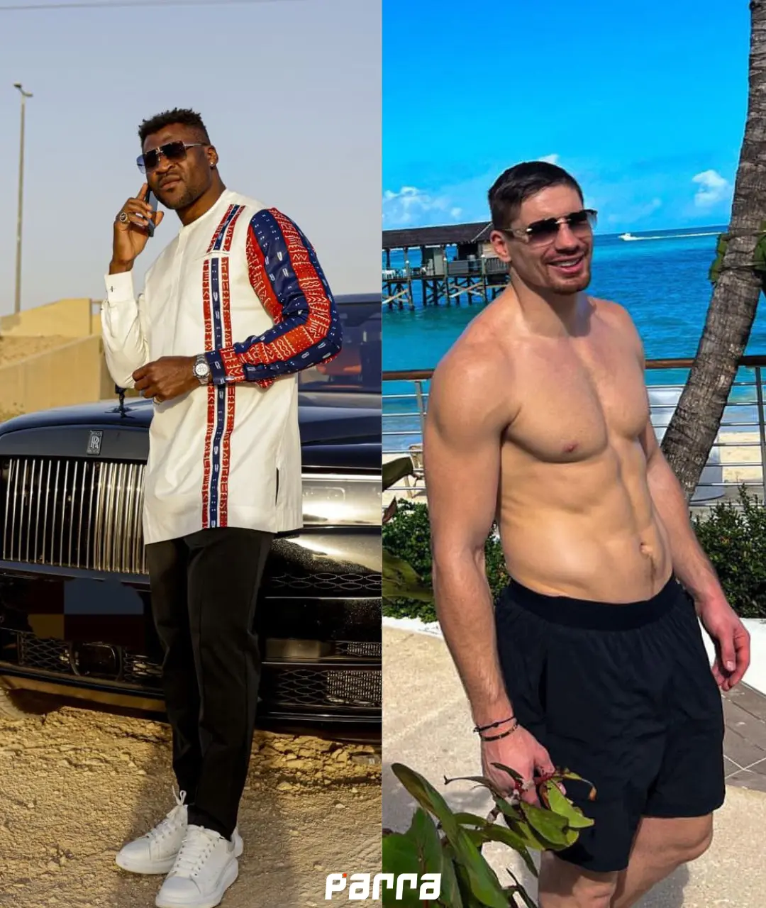 kopie van parratv mainzip 1 1