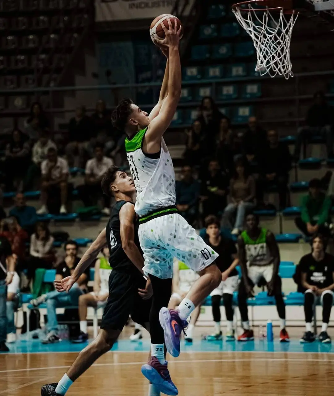 Petar Camparevic