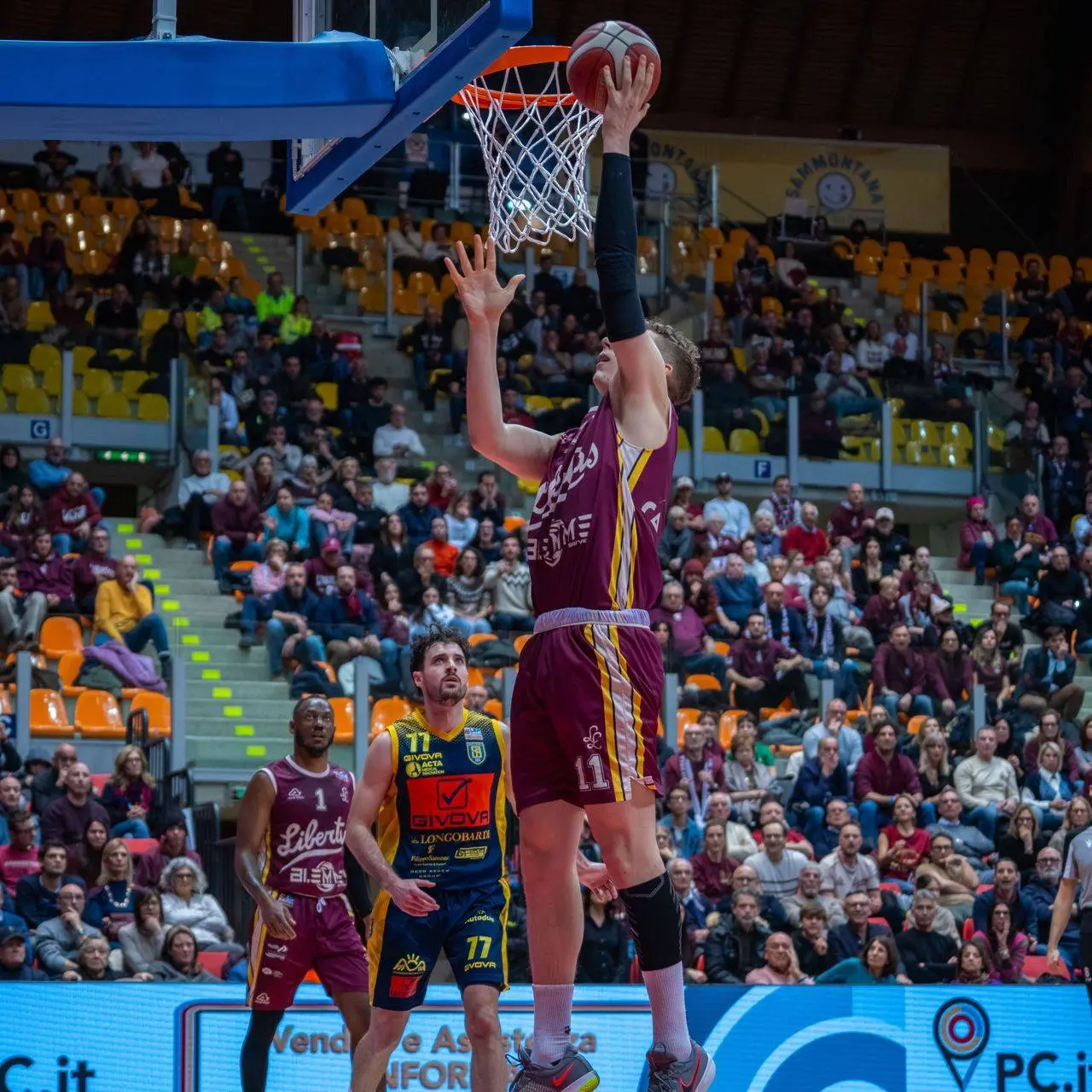 tozzi livorno